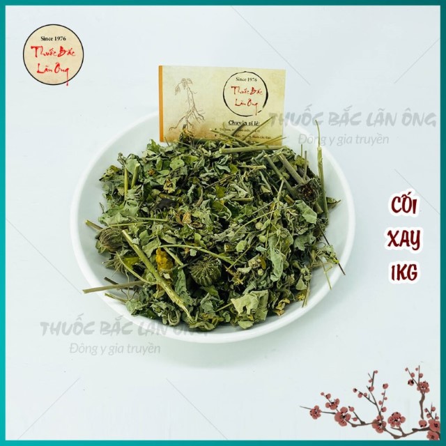 Cây Cối Xay 1kg
