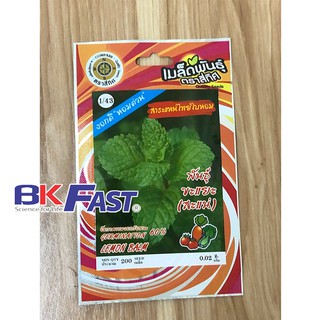 Hạt giống húng bạc hà