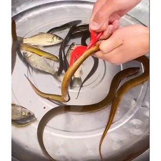 Dao Mổ Cá Làm Lòng Gà, Lòng Vịt Giúp Bạn Làm Lòng Gà Vịt Thật Dễ Dàng