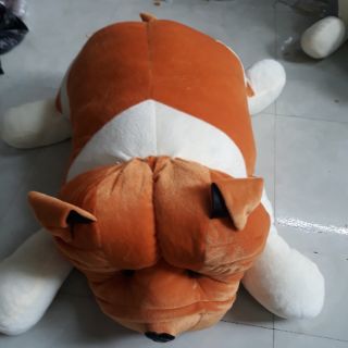 Gấu Bông ,Chó bông pitpun 60cm hàn