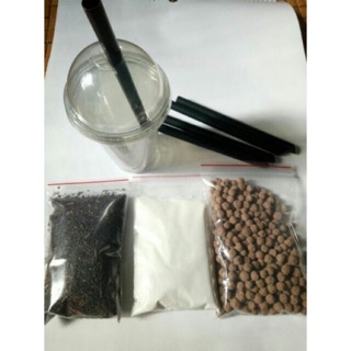50 set trà sữa trân châu