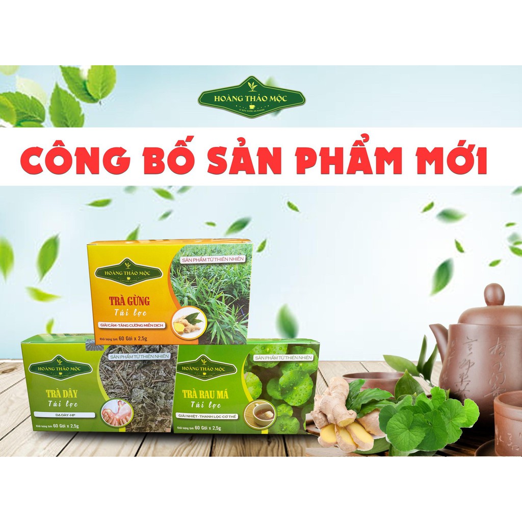 Trà gừng túi lọc Hoàng Thảo Mộc - Hỗ trợ ổn định huyết áp, lợi tiểu, thông mạch (60 gói)