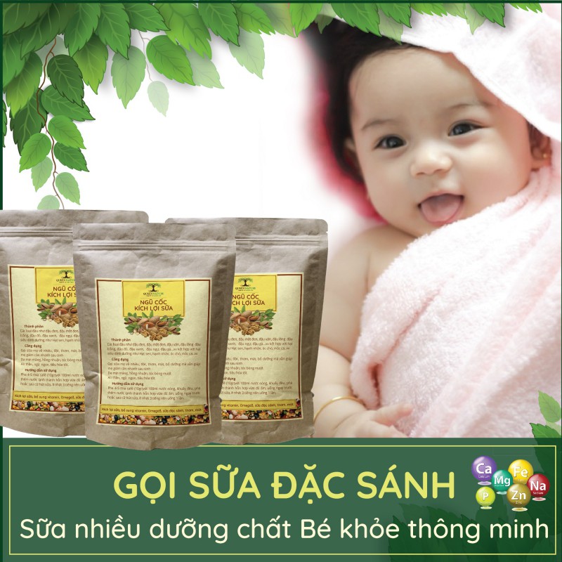 NGŨ CỐC KÍCH LỢI SỮA QUEEN NATURE (800 GR)