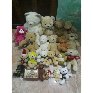 Gấu teddy