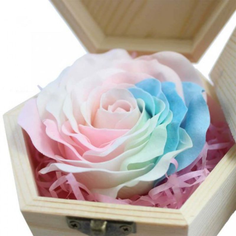 Hoa hồng sáp cầu vồng phát sáng ban đêm