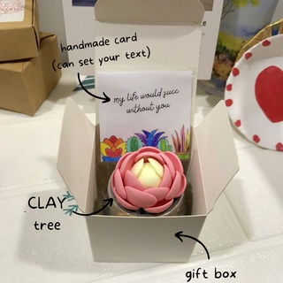 Sen đá dù hồng, sen đá đất sét, sen đá handmade