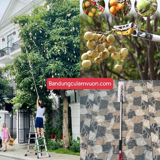 [Nhật bản - Kapusi] Kéo cắt cành trên cao, hái trái cây 3m 2 đoạn