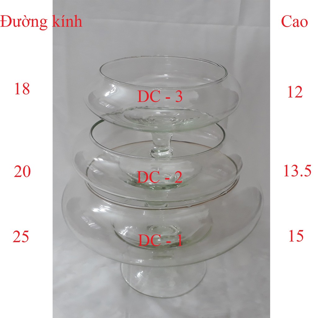 Bể Cá Mini - Hồ Cá Để Bàn - Chậu Cá Thủy Tinh DC [HỒ DC]