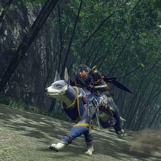 Băng Game Monster Hunter Rise Nintendo Switch