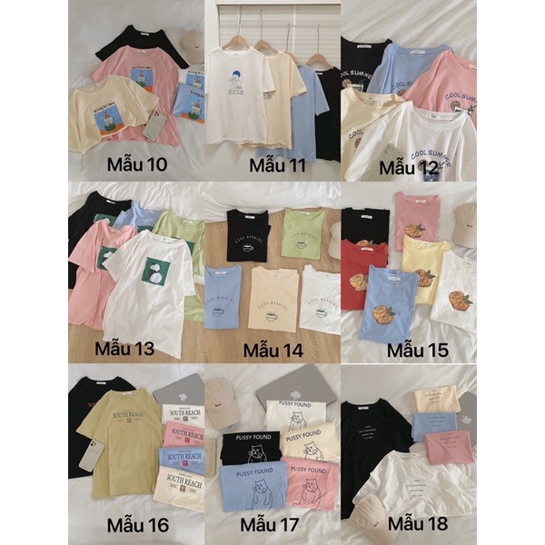 Áo pull tag sugar (nhiều hình)