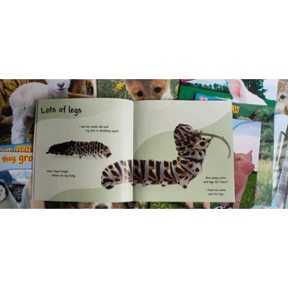 VÒNG ĐỜI CỦA CÁC CON VẬT (SEE HOW THEY GROW) IN OFFSET