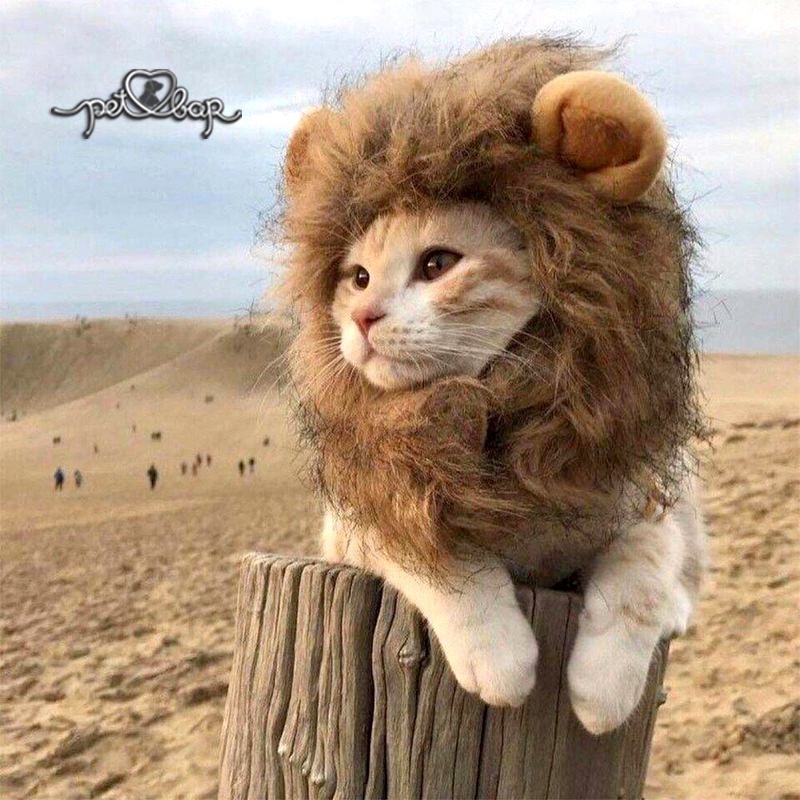 [Mã 44FMCGSALE1 giảm 10% đơn 250K] Mũ cho chó mèo cosplay sư tử - Nón hoá trang cho thú cưng siêu ngầu