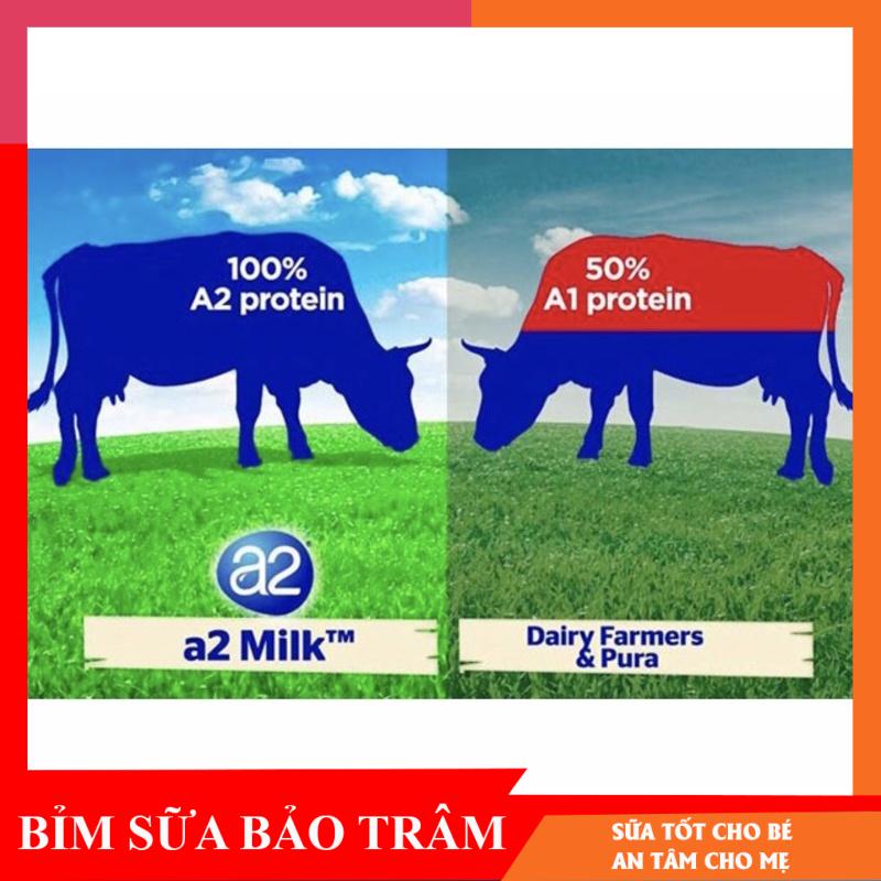 Sữa tươi dạng bột A2 nguyên kem (1kg) cho người lớn và trẻ em trên 1 tuổi