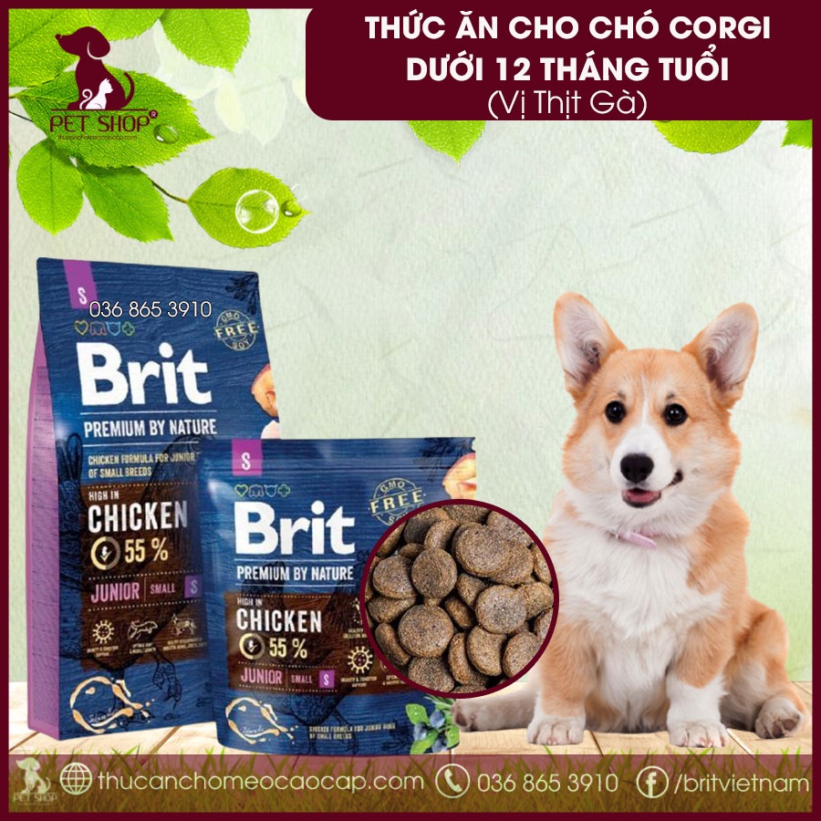 Thức Ăn Cho Chó Cogri Dưới 12 Tháng Tuổi Và Chó Mẹ - Brit Premium by Nature Junior S