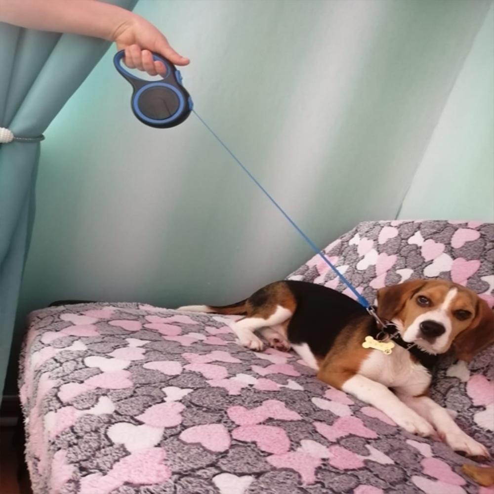 Dây dắt thú cưng bằng nylon bền chắc có thể thu vào tự động xoay 360° chống xoắn dài 3m/ 5m/ 8m nhiều màu tùy chọn