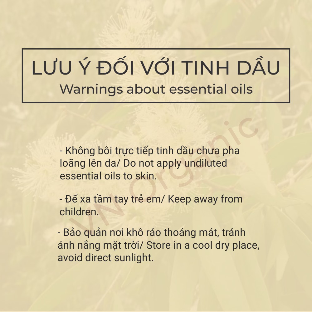 Tinh Dầu Tràm Gió - Cajeput Essential Oil