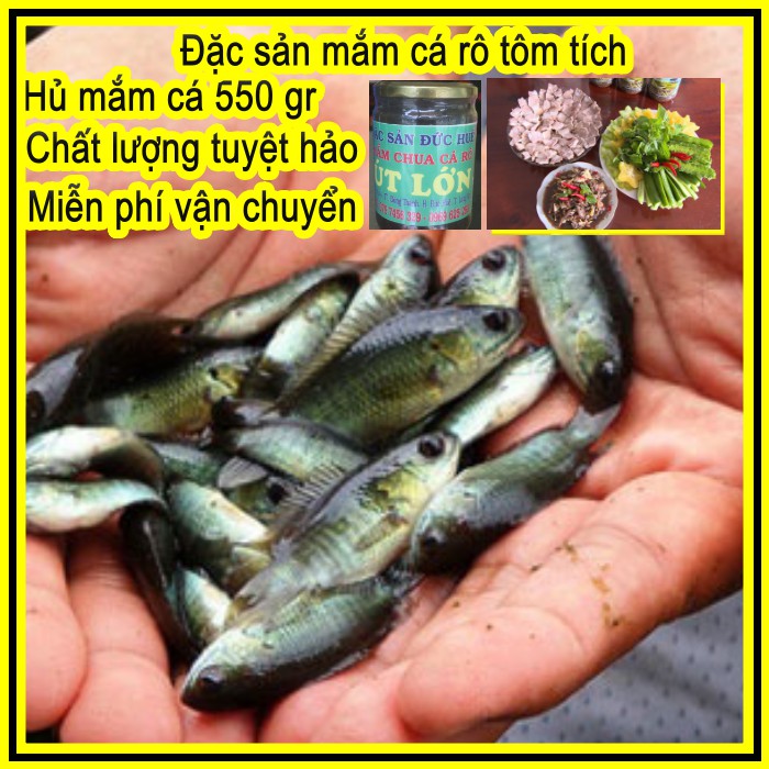 Mắm Chua Cá Rô Tôm Tích