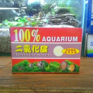 Viên CO2 khô (Dùng cho Hồ Thủy Sinh)
