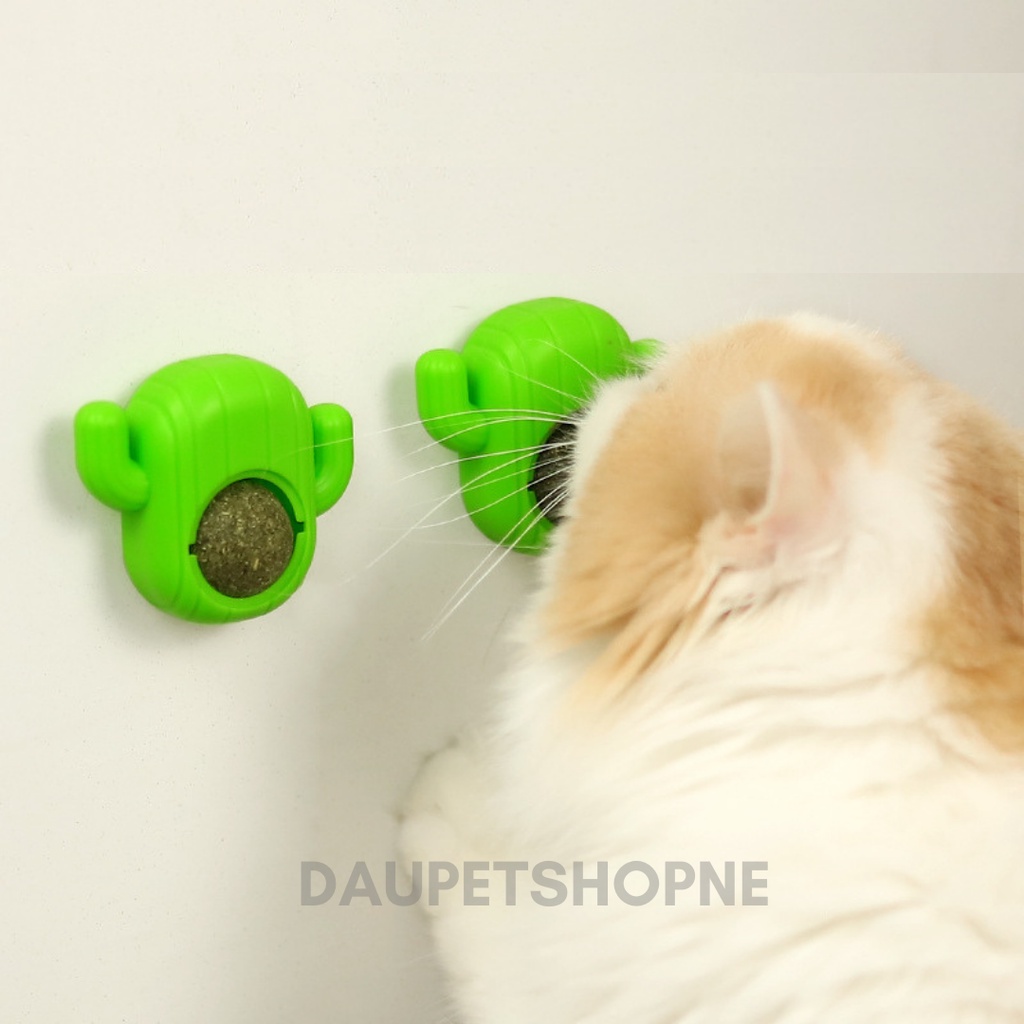 Catnip dán tường - Cỏ bạc hà cho mèo