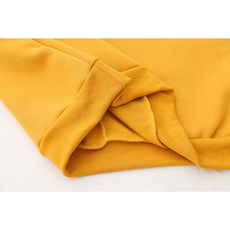 Áo hoodie nỉ bông khủng long bạo chúa - MS45