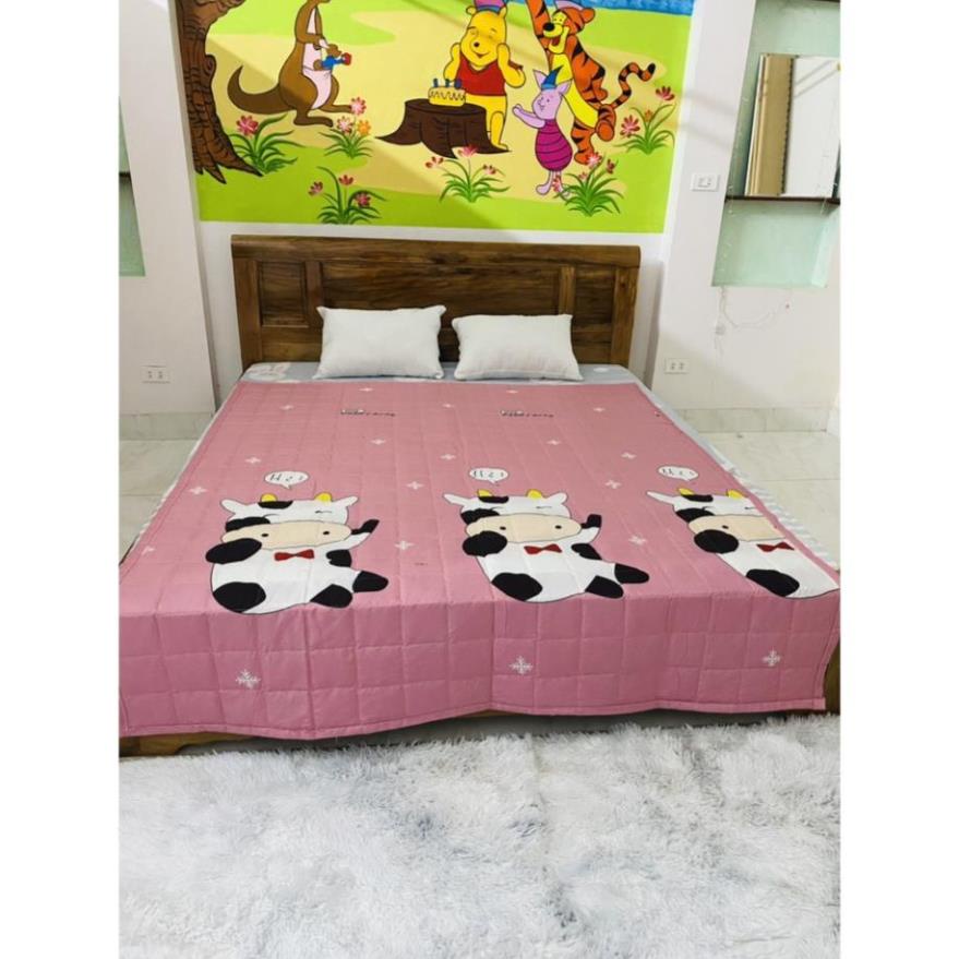 Chăn Hè Cotton Poly Mềm Mịn Trần Bông 3 Lớp
