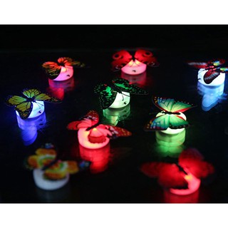 5 miếng đèn LED hình bướm trang trí giáng sinh