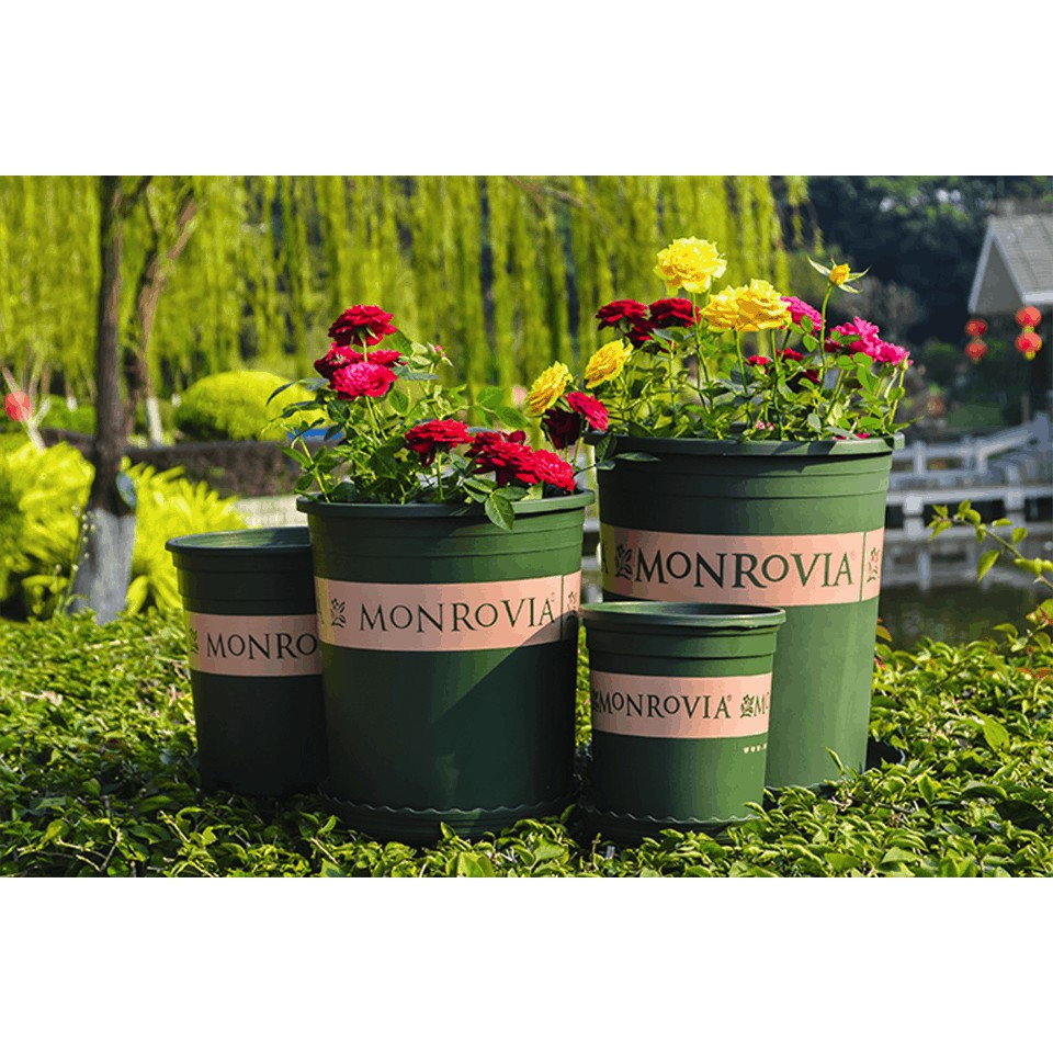 (Có đĩa lót) Monrovia 7gal (38x40cm) TQ_Chậu nhựa trồng hoa Mon dày bóng loại 1 hàng TQ