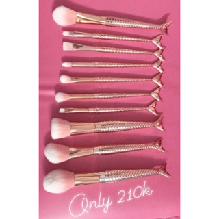 Bộ 10 cọ đuôi cá pastel siêu xinh, siêu xịn