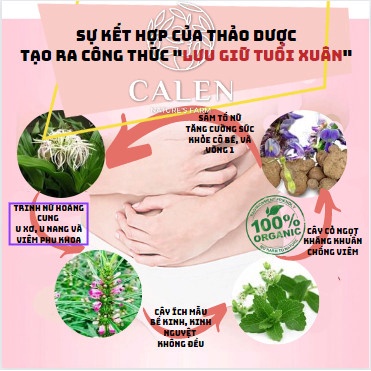 Trà Ích Mẫu điều hòa kinh nguyệt, trà giảm đau bụng kinh, cân bằng nội tiết tố nữ Calen Nature's Farm