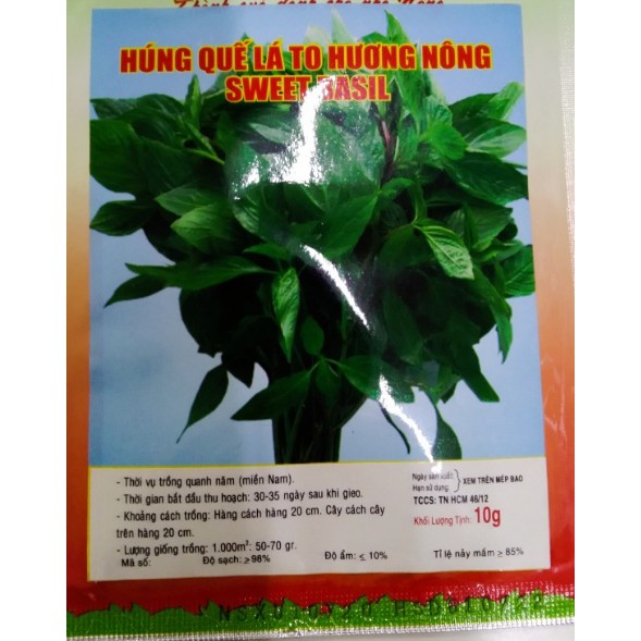 Hạt húng Quế rau Quế - gói 5 gram