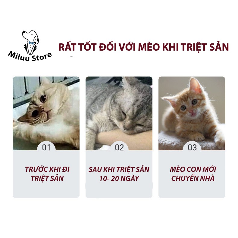 Bột an thần cho mèo, bột kiểm soát cơn động dục của thú cưng