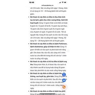 Chậu nhựa mềm kiến cò/ bạch hạt