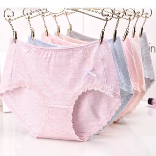 Set quần chip cotton