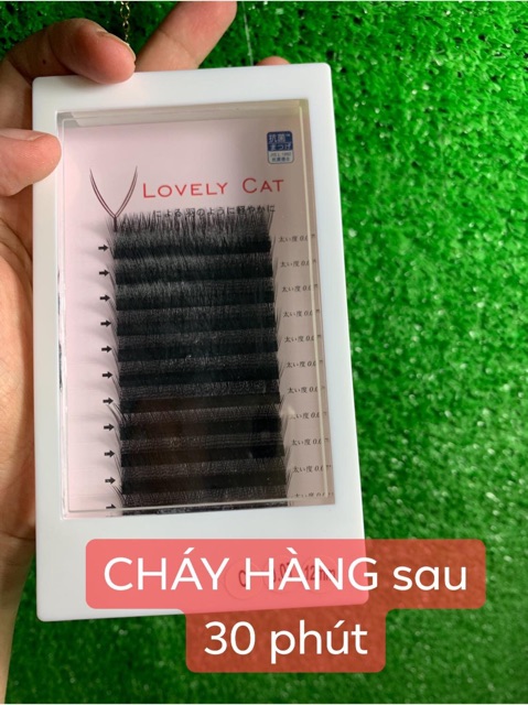 Flashsale Lông mi YY siêu nhanh, siêu bền( số lượng có hạn)❤️❤️