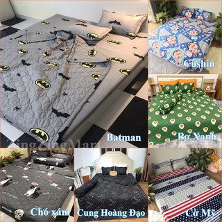 Chăn hè đẹp trần bông cotton poly sét 5 món (Được lựa mẫu)