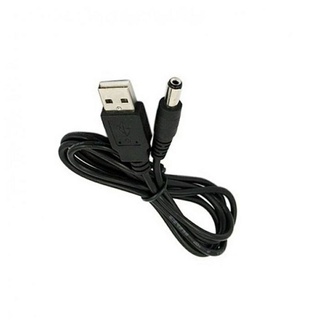 Cáp chuyển nguồn USB sang 5.5mm*2.1mm ra 5V lắp vào pin dự phòng
