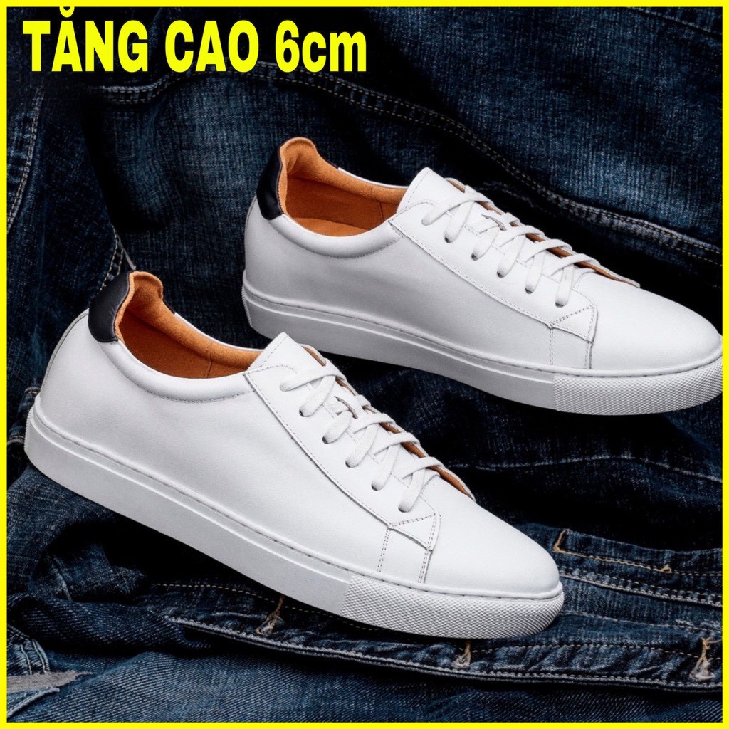 Giày Thể Thao Nam Da Bò Tăng Chiều Cao 6cm - Phong Cách Trẻ Trung Trung Năng Động Gn06