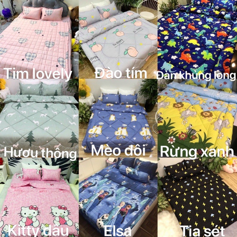 Bộ 1 Ga chun và 2 vỏ gối Cotton poly, chat chọn mẫu.