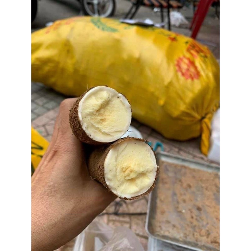 1kg Khoai mì ruột vàng giống thái