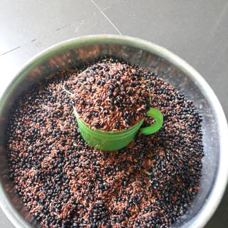 Đậu đen xanh lòng +gạo lứt rang tay giá rẻ 85k/kg