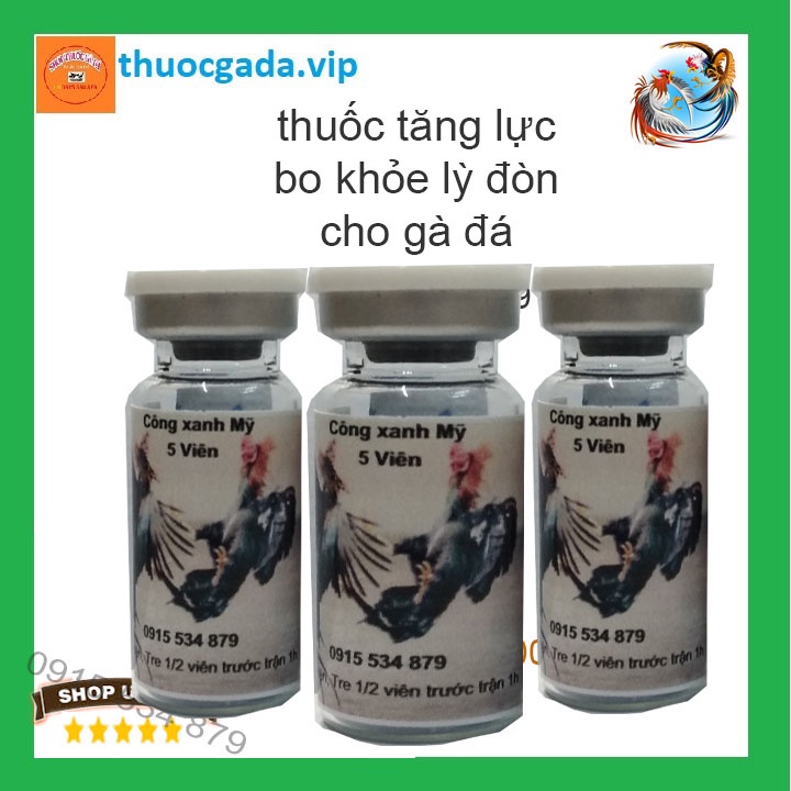 Công xanh mỹ gà bo khỏe lỳ đòn