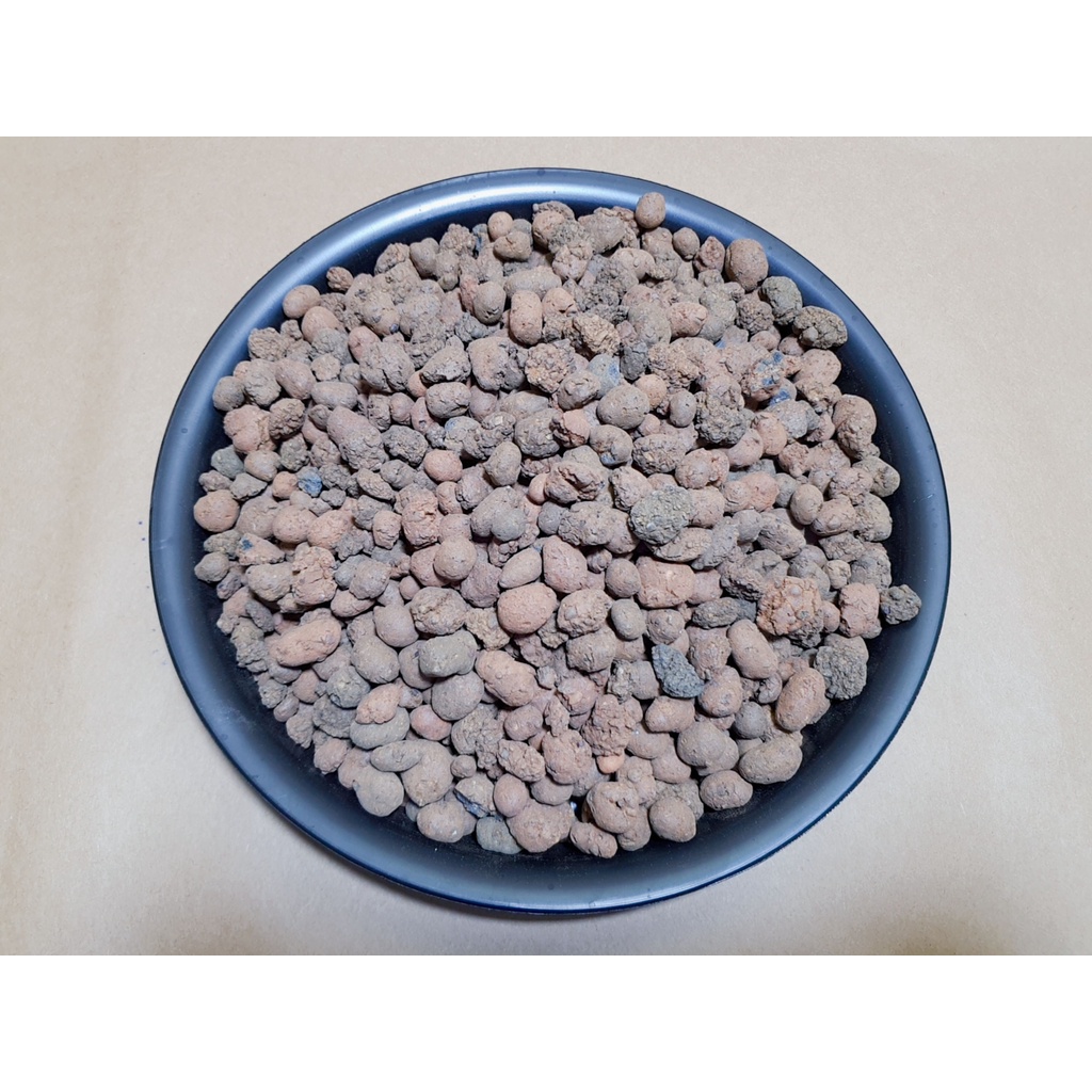 Giá Thể Viên Đất Nung Sỏi Nhẹ SFARM Kích Thước 5 - 10 MM Chuyên Trồng Cây Cảnh Thủy Canh, Rau Ăn Lá