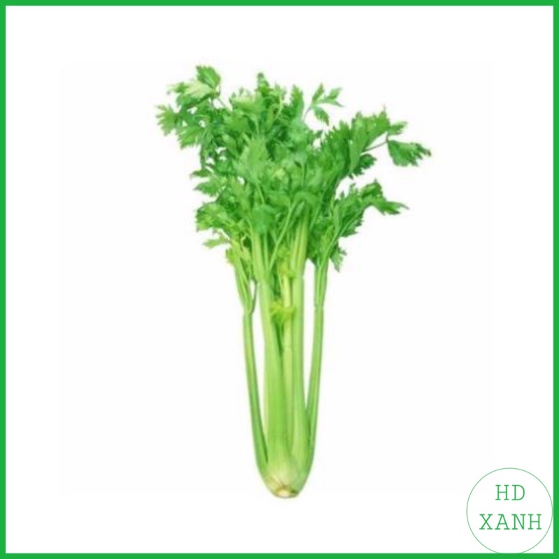 Hạt Giống Rau Cần Cọng Xanh