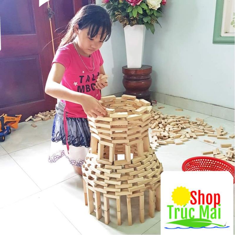 Đồ chơi xếp hình gỗ lắp ráp mô hình phát triển trí tuệ  Rút Gỗ Đồ Chơi Domino Montessori Rèn Luyện Trí Thông Minh