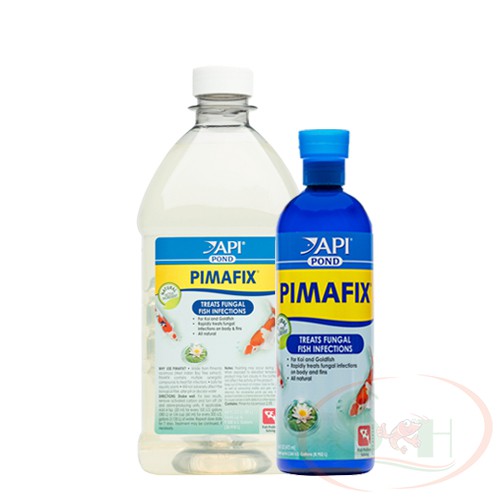 Dung Dịch Diệt Nấm API Pond Pimafix Cao Cấp