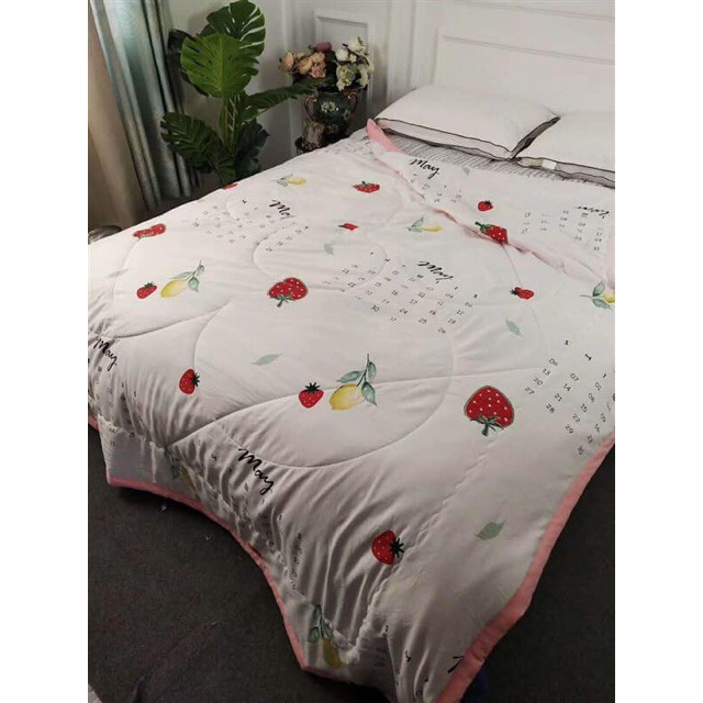 Chăn Zara Home Hàng Nhập Khẩu Chính Hãng