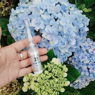 Hồng Nhủ Hoa Nuwhite