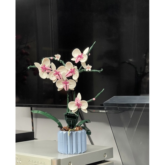 Xếp hình hoa Lan hồ điệp Orchid nonlego 10311 2222