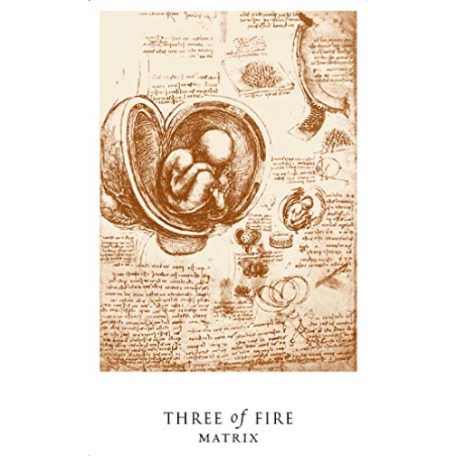 Bộ Bài Da Vinci Enigma Tarot (Mystic House Tarot Shop) - Bài Gốc Authentic Chính Hãng 100%