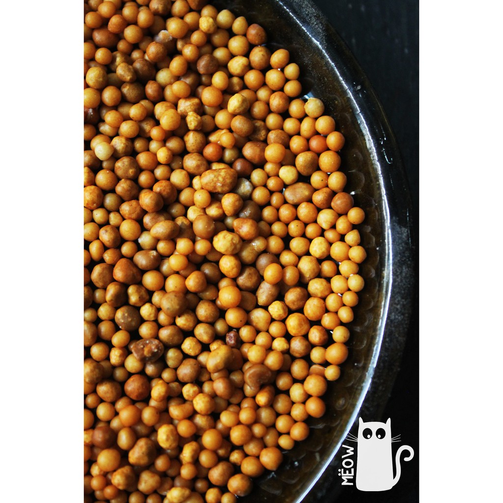 Phân tan chậm Osmocote  NPK 14-14-14 dành cho sen đá, xương rồng gói 50gr